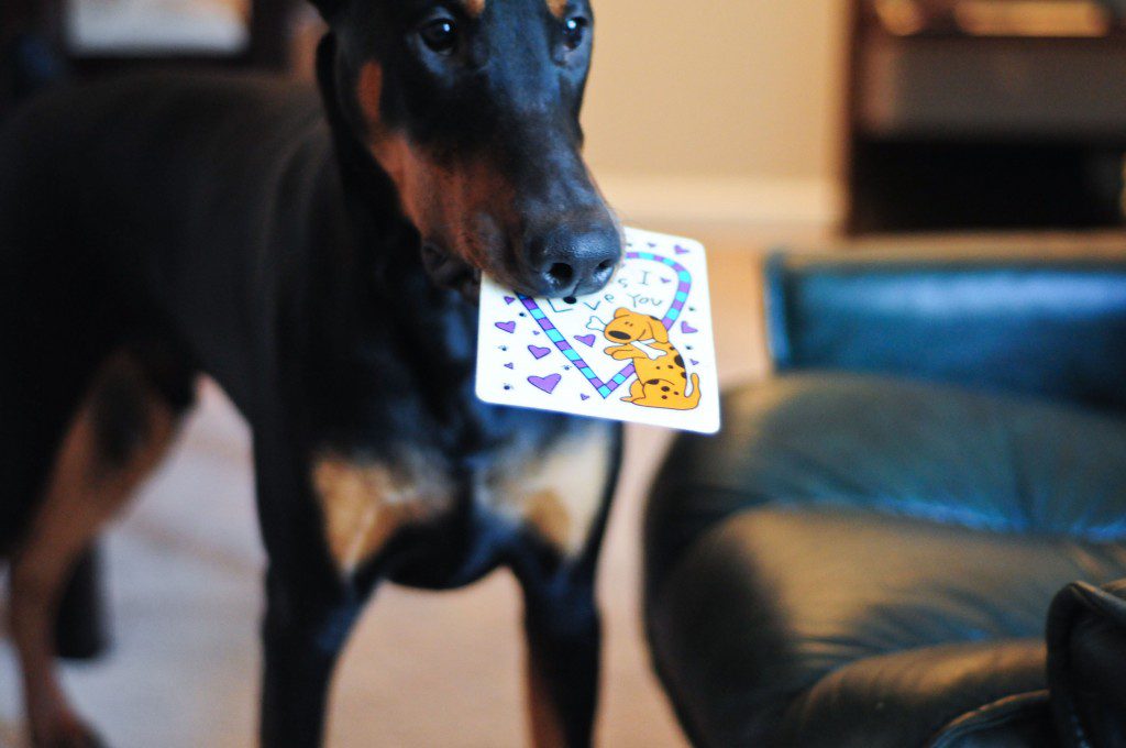 macvalentine-2