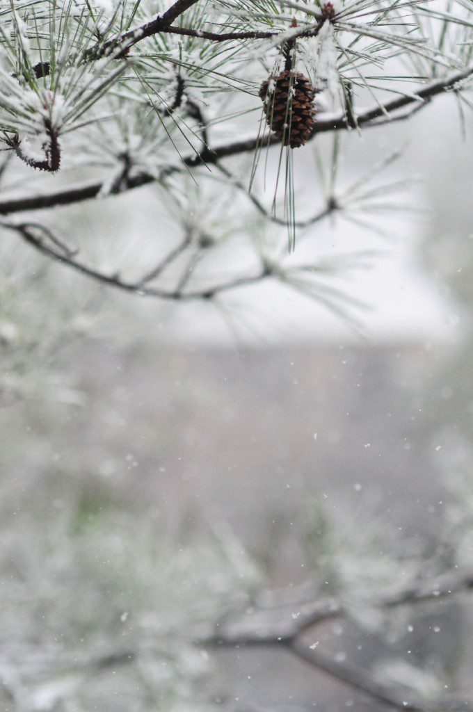 snow-3