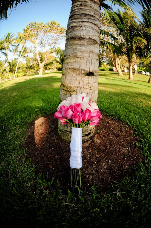 wedding with palm trees