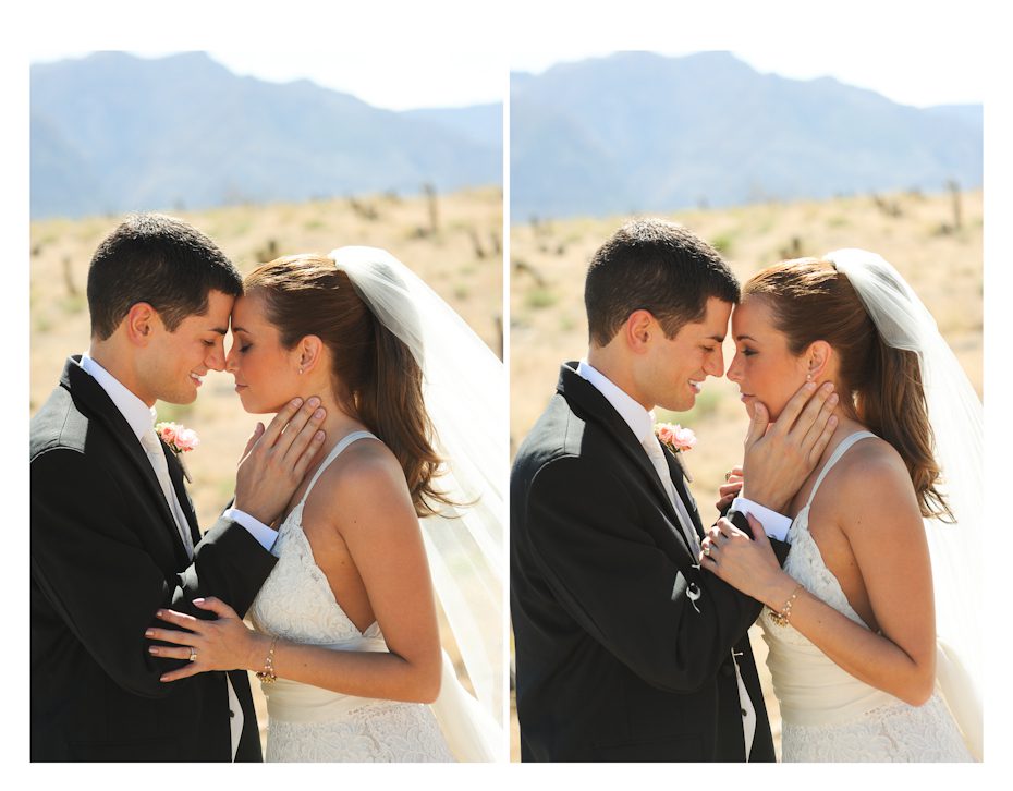 bride and groom with mountains