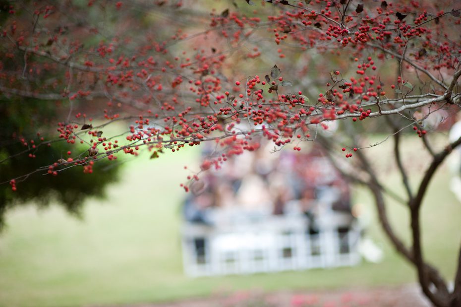 matisse lawn wedding at chateau elan