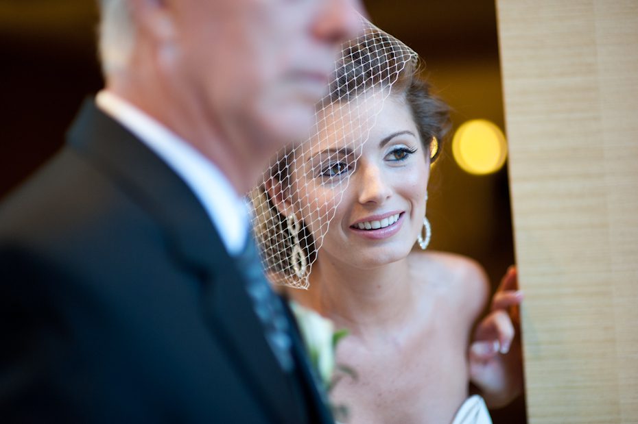 birdcage veil in wedding