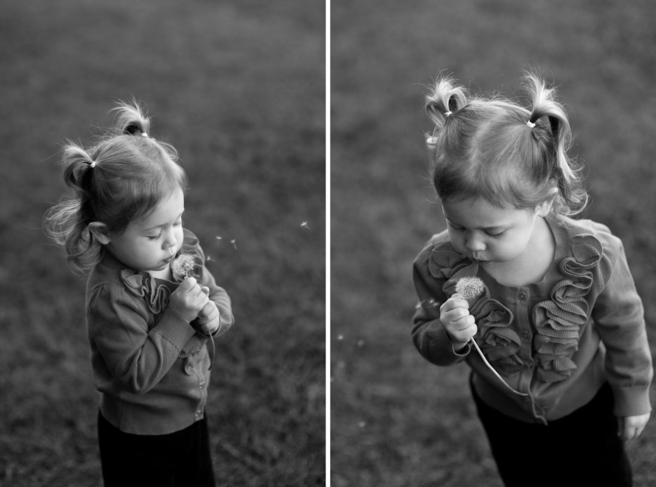 little girl with dandelion