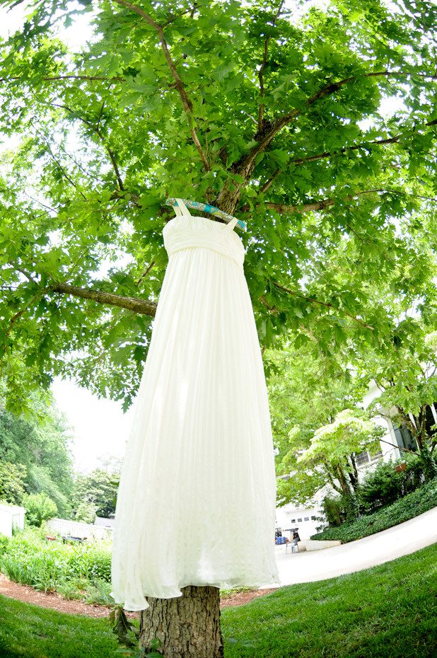 Wedding Dress in Tree