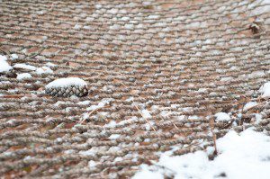 Snowy Pinecone