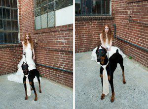 Bride and Dog