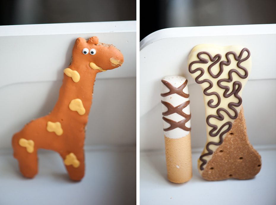 dog cookies