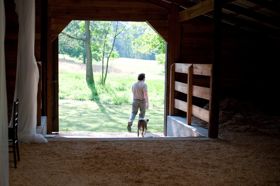 farm dog
