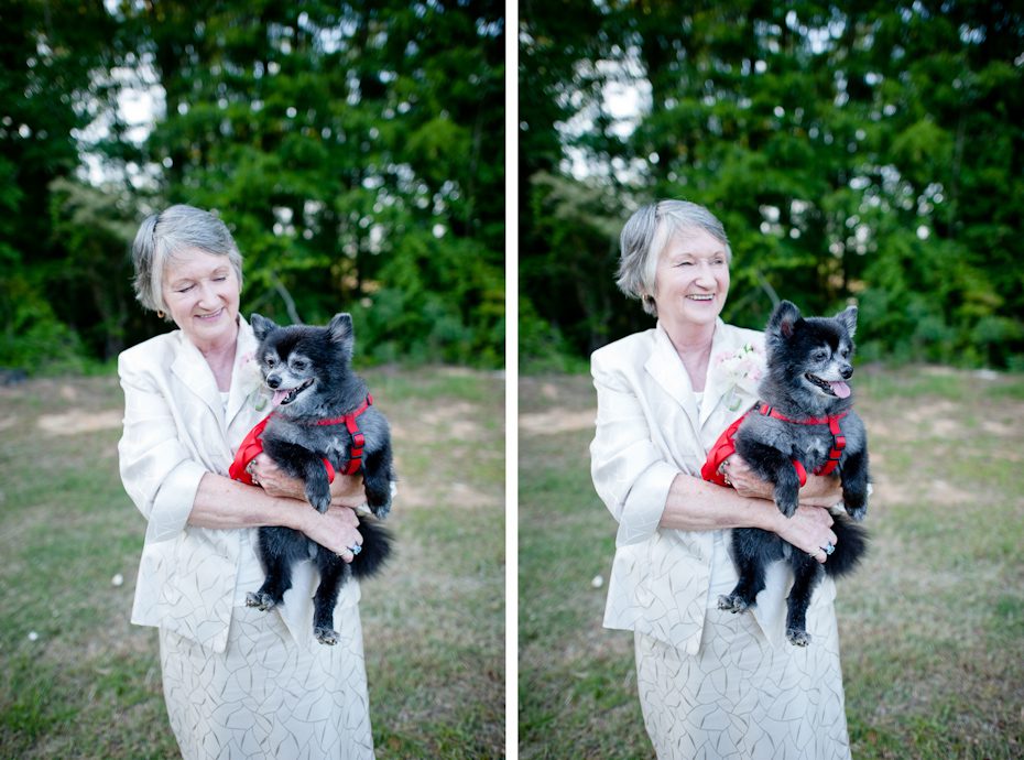 dog at wedding