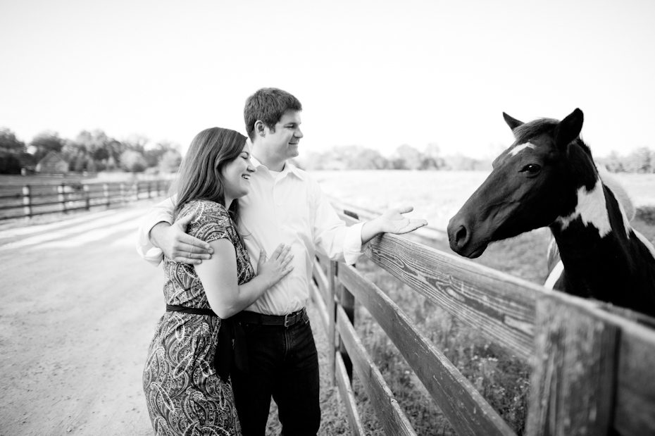 Horse in engagement session