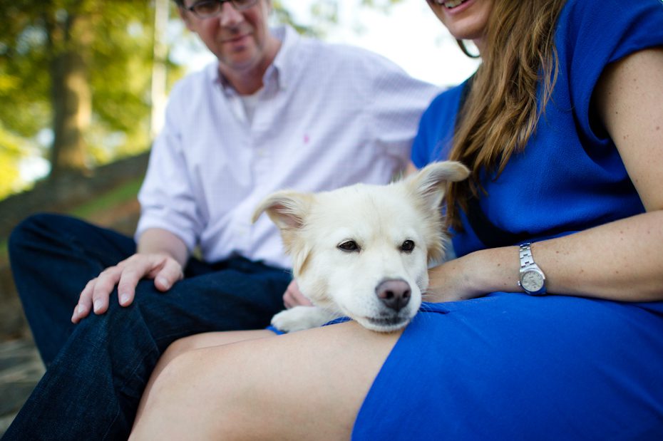 Dog at engagement session