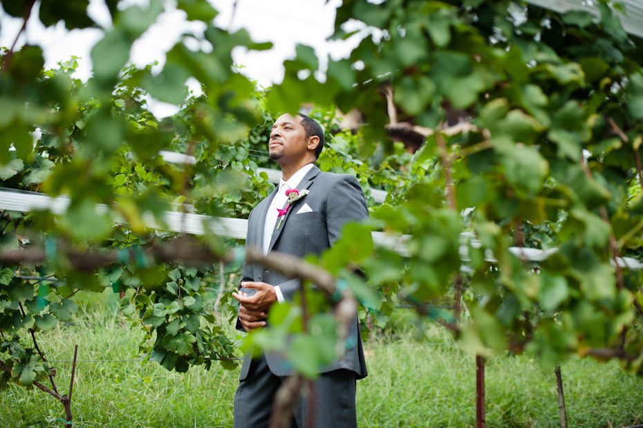 First Look at Wedding