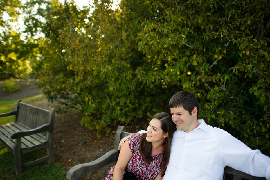Serenbe Engagement Pictures