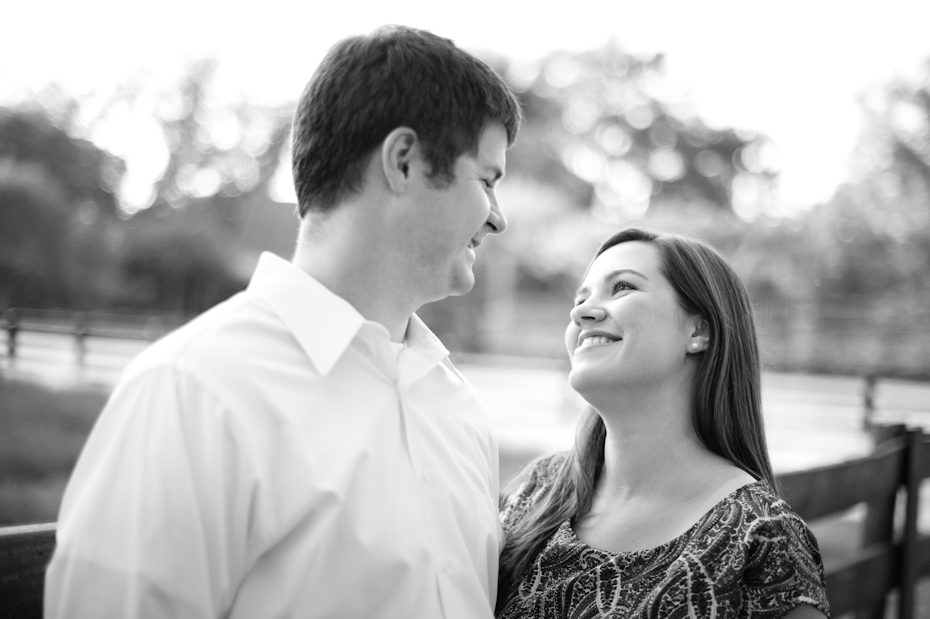 Romantic engagement picture