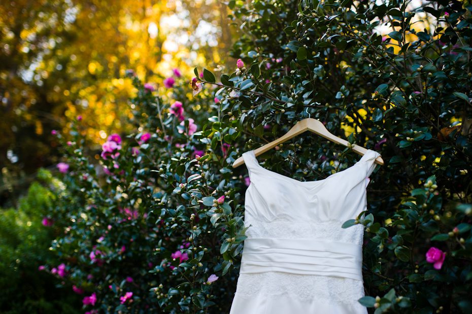 Wedding dress from La Raine's Bridal