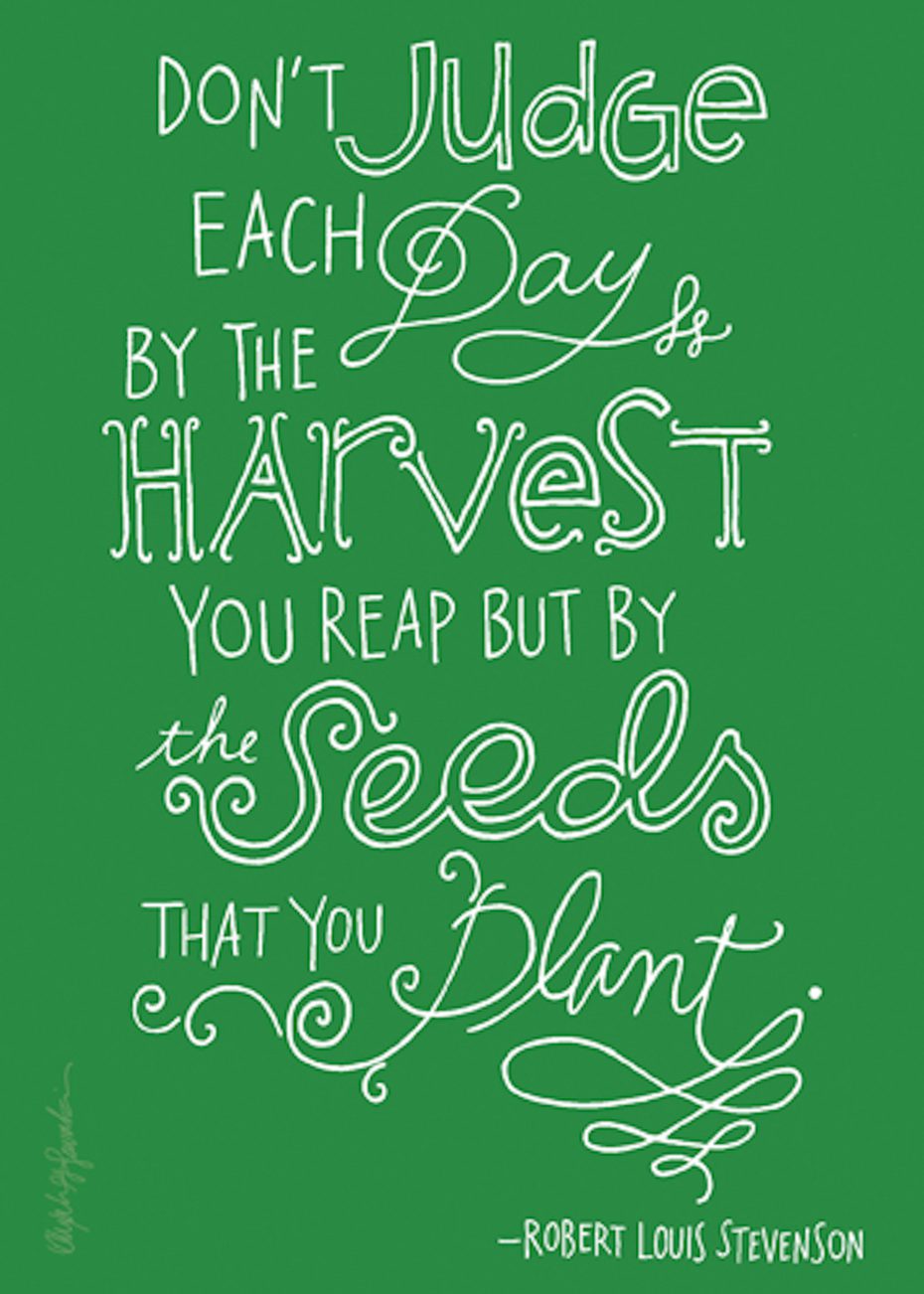 The Seeds that you plant