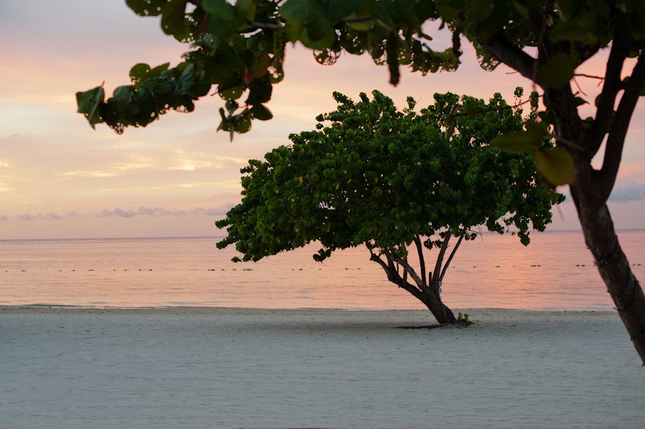 Iberostar Rose Hall Grand Montego Bay Iberostar Rose Hall Wedding Jamaica picture