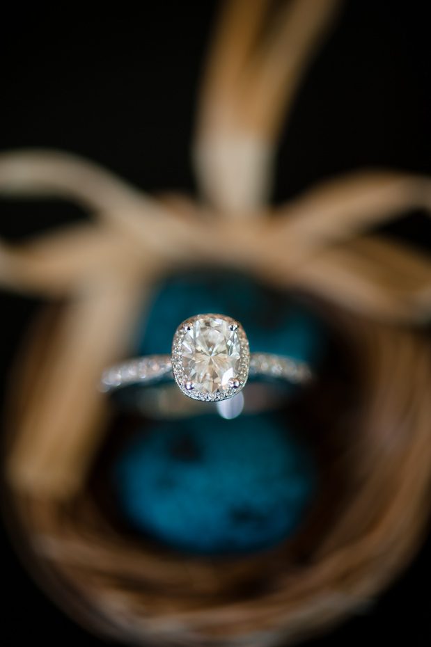 Oval Engagement Ring Engagement Ring in nest