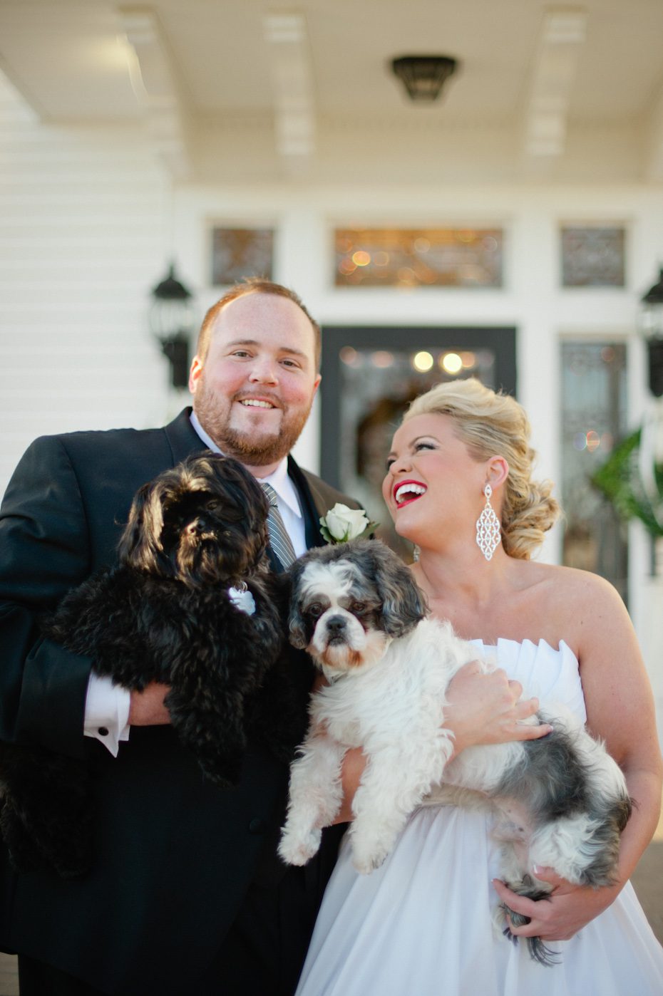 Wedding with dogs