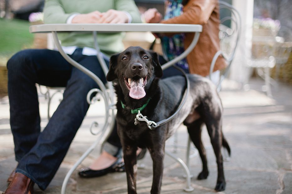 Having dog in engagement pictures