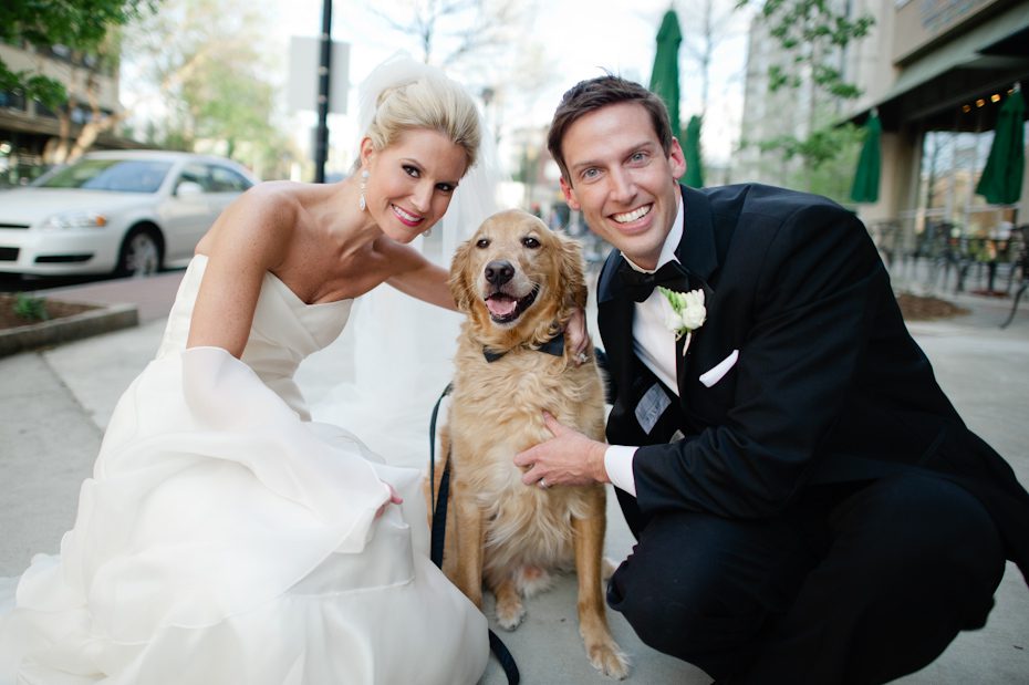 Dog in bowtie at wedding Dog in bowtie in wedding picture