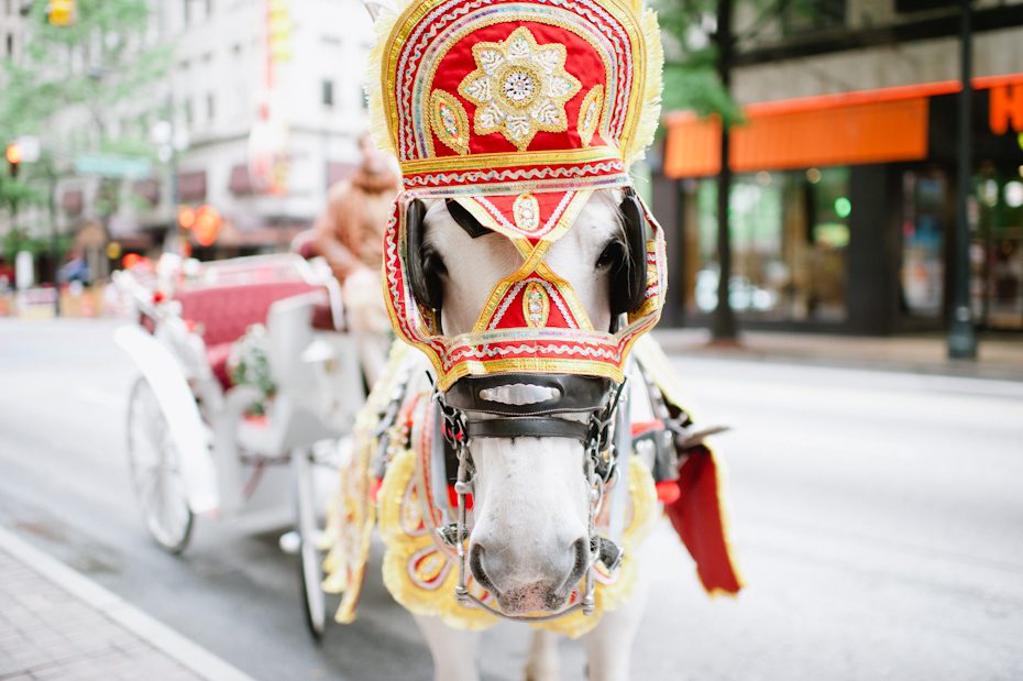 Horse Rental Atlanta