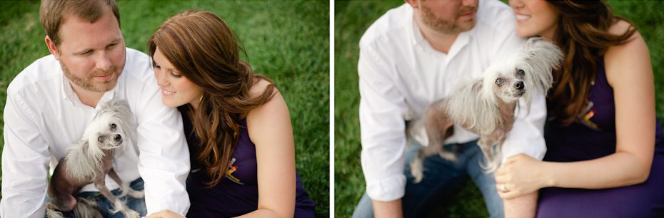 Dog in Engagement Picture