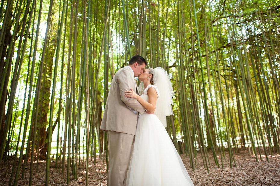 Photos of Bamboo Garden at Barnsley Gardens