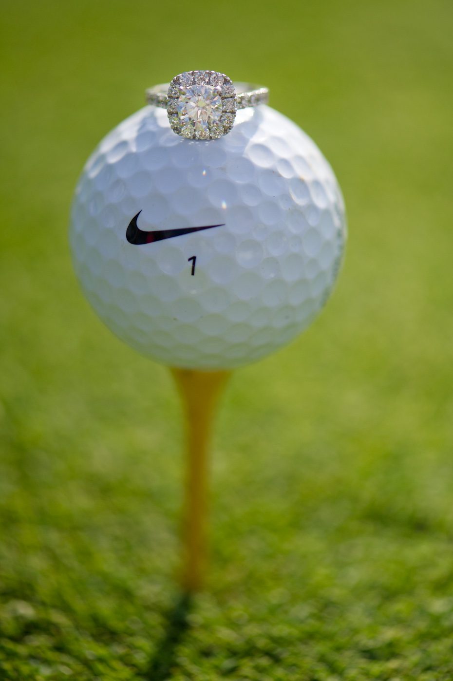 Golf themed engagement pictures