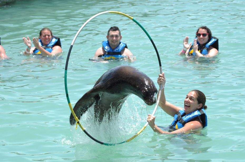 Sea Life Discovery Plus