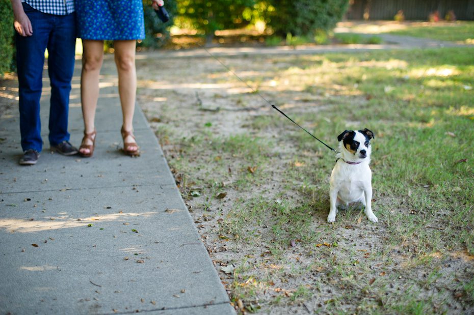Dog in Engagement Picture