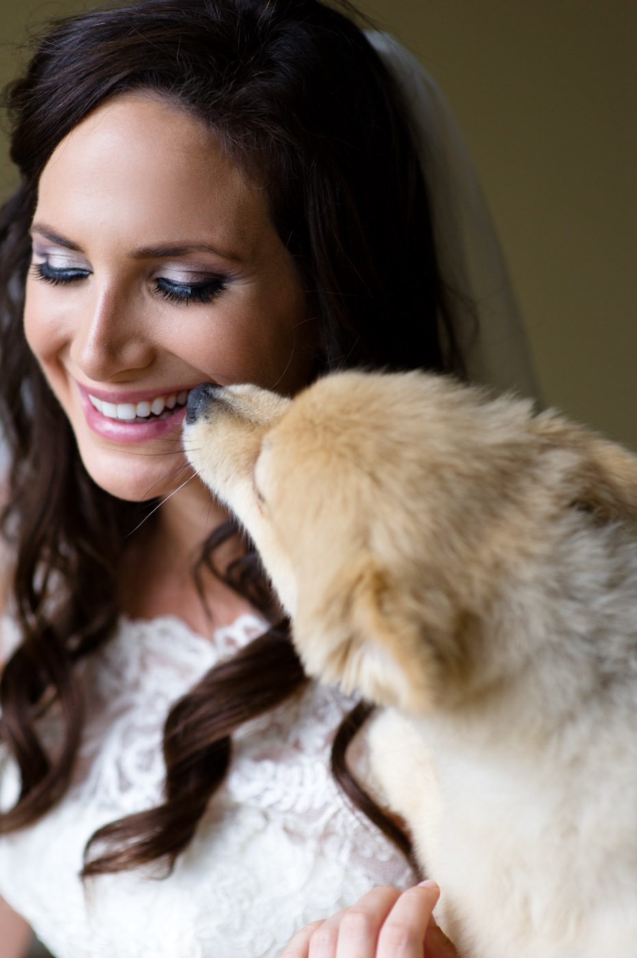 Bridal Portrait with dog