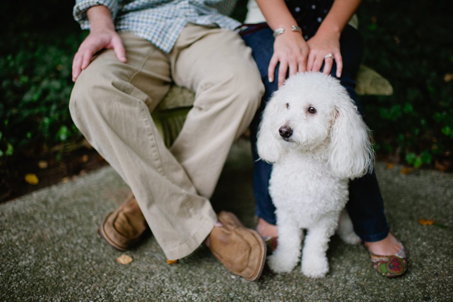 Creative Engagement Picture Ideas