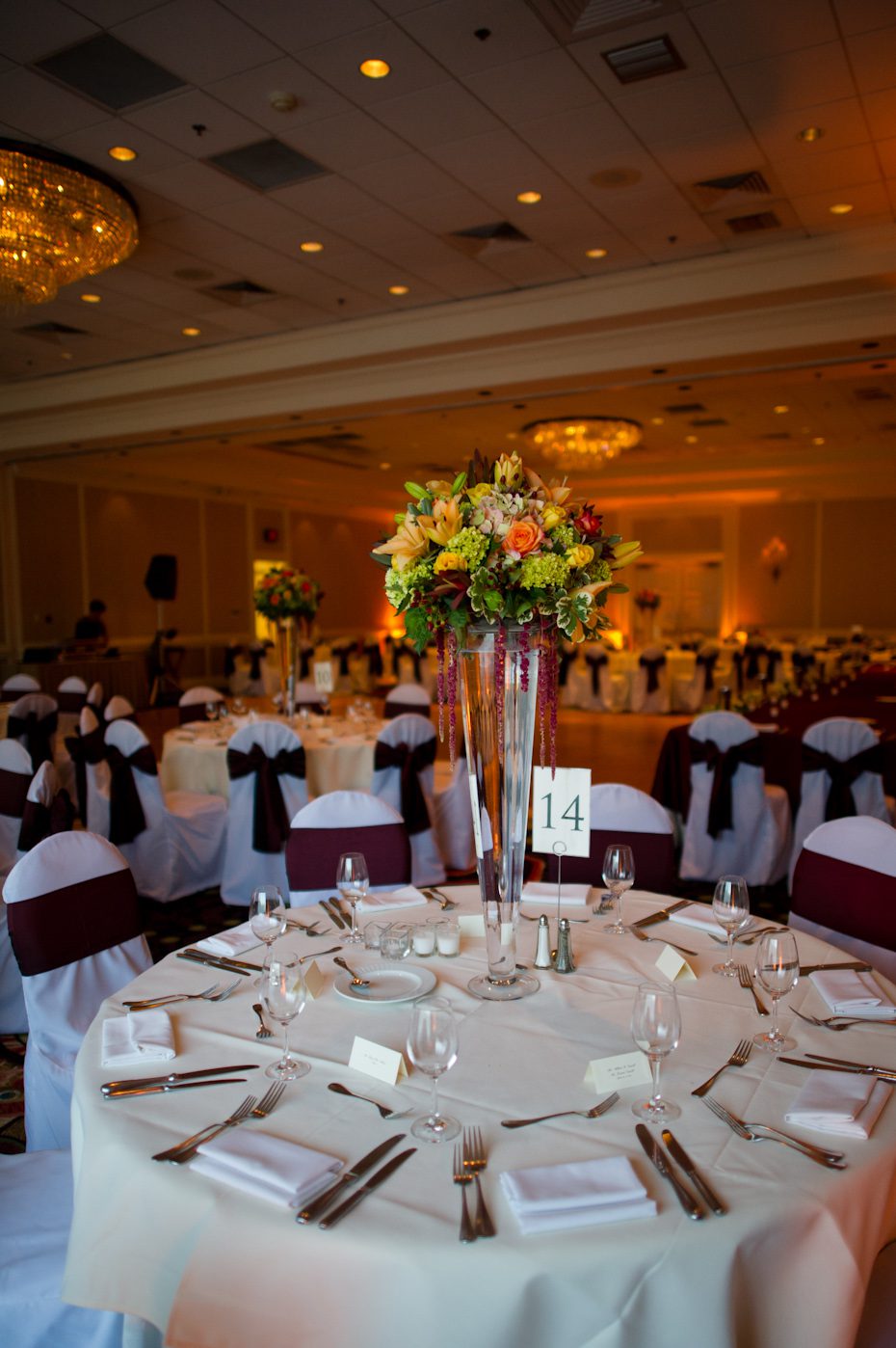 Villa Christina Ballroom Photo