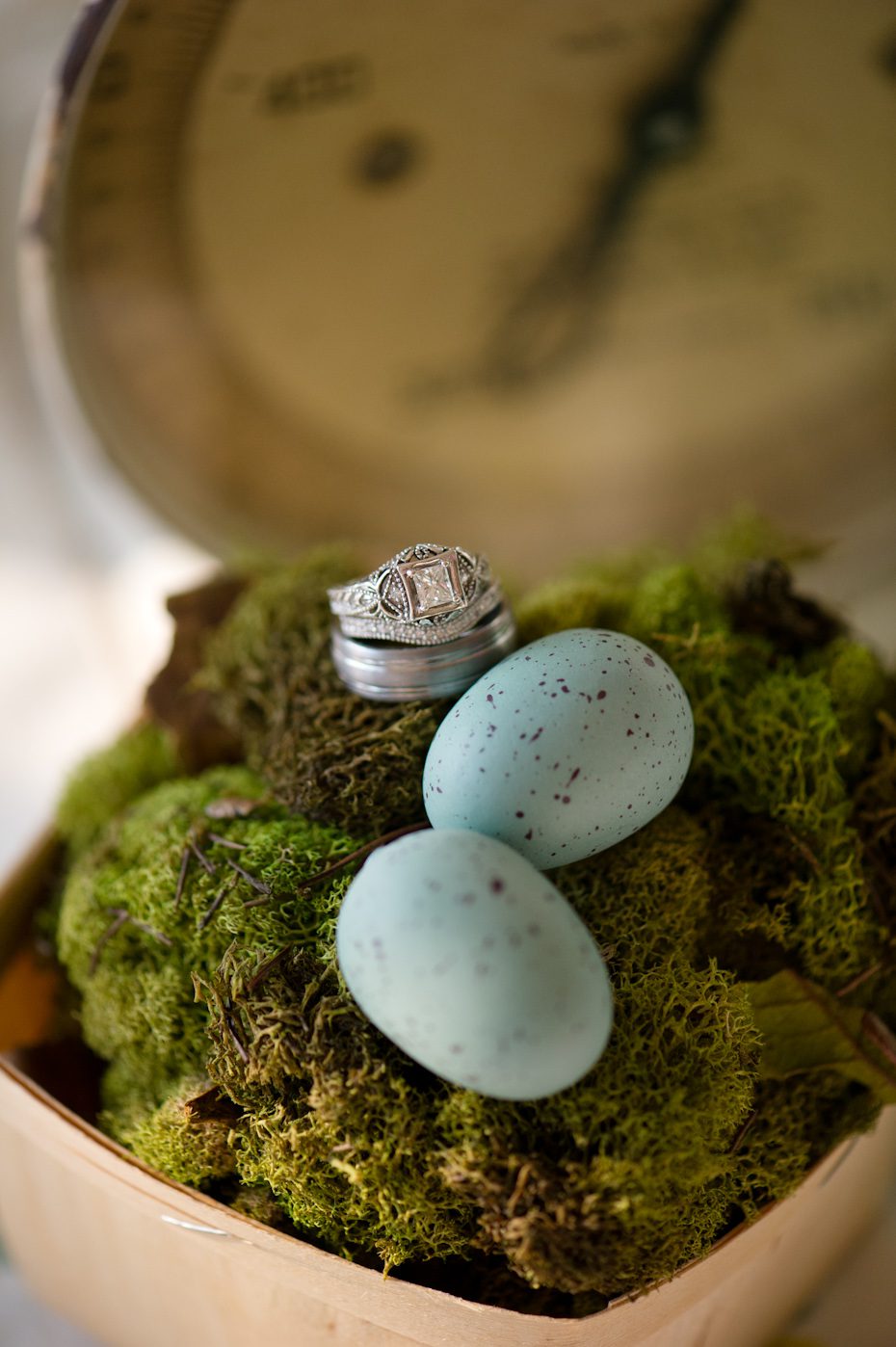 Spring Wedding