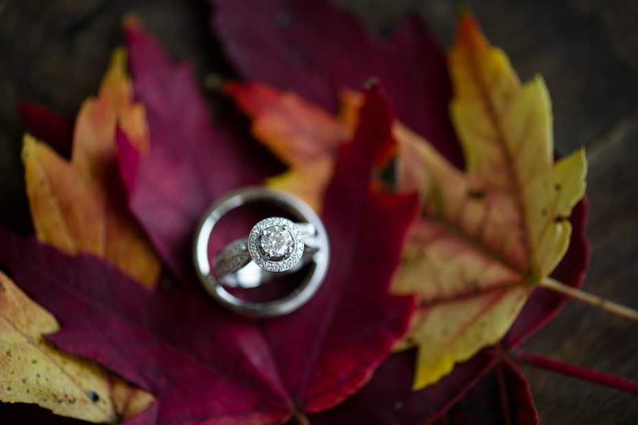 Wedding Rings in the fall