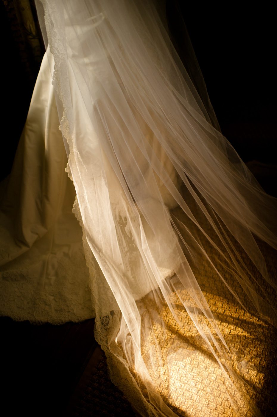 Cathedral Length Veil