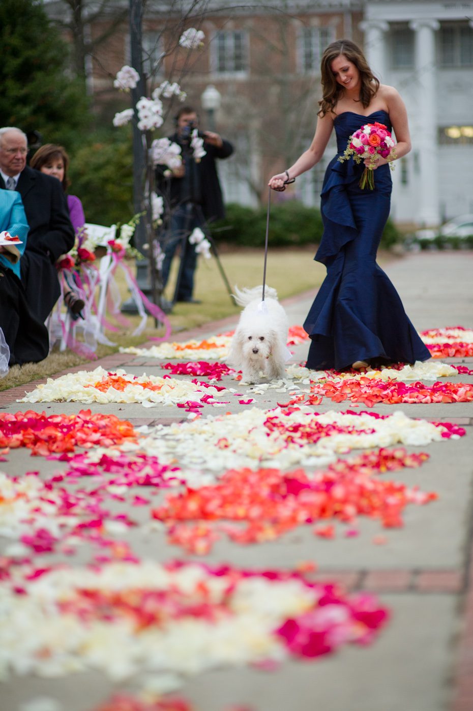 Dog in wedding ceremony