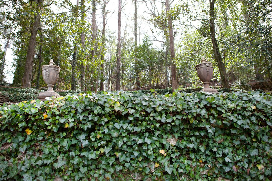 Dunaway Gardens Wedding Pictures