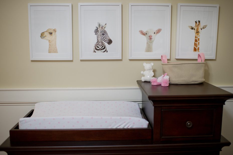 Animal Themed Nursery