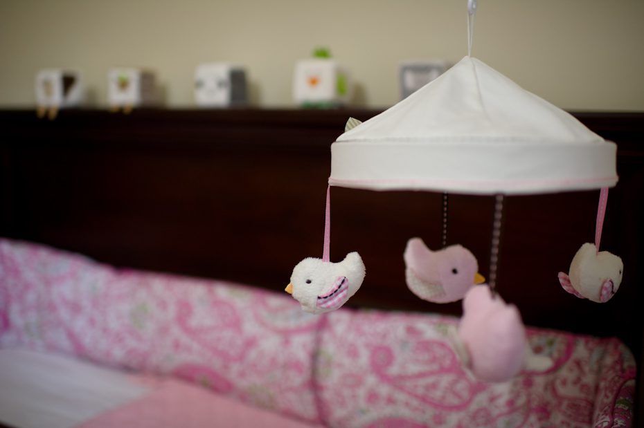 Baby Girl Nursery