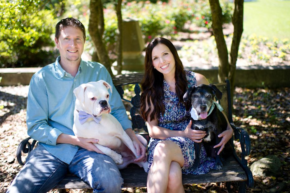 Dog photos at Cator Woolford Gardens