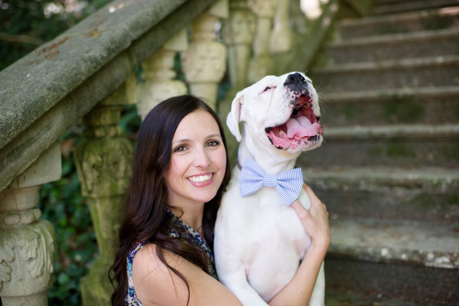 Dog in a bowtie
