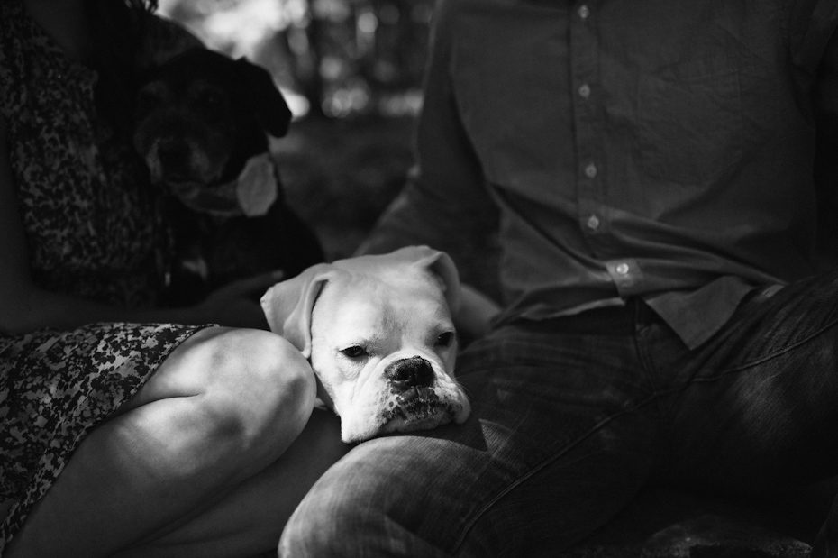 Atlantadogphotographer-8
