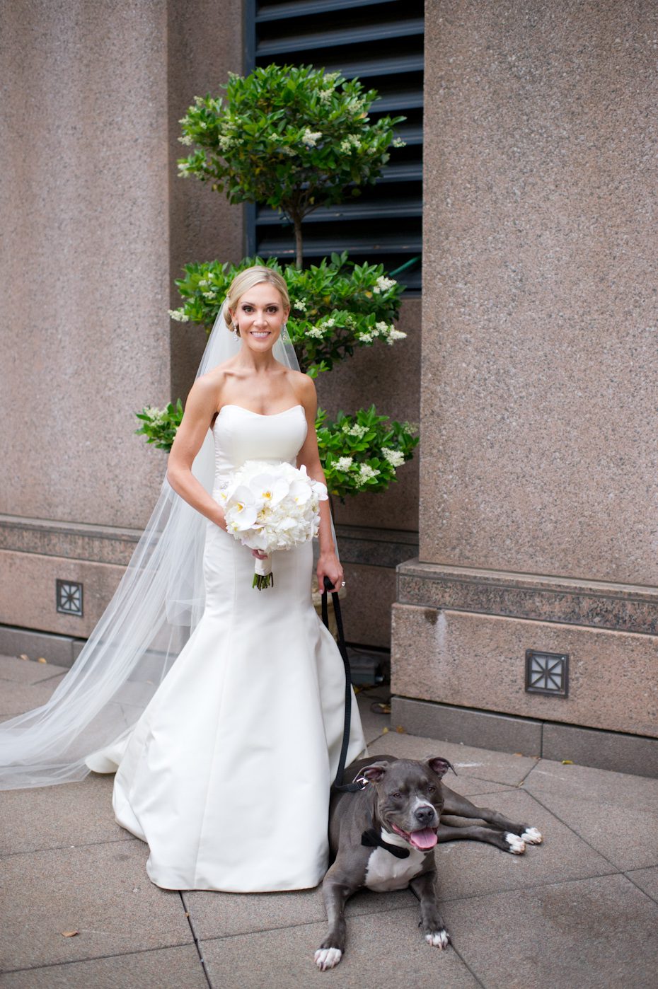 Bride wedding photo with dog