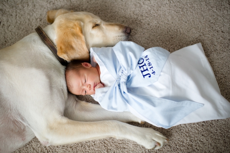 Dog with Newborn Photos