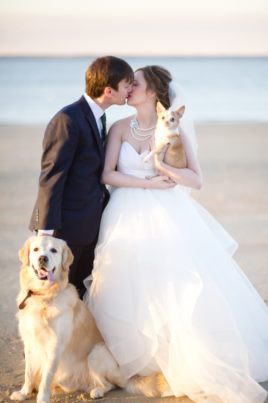 bride and groom wedding photos with dogs