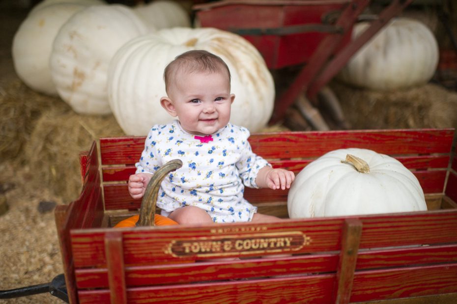Baby in a wagon