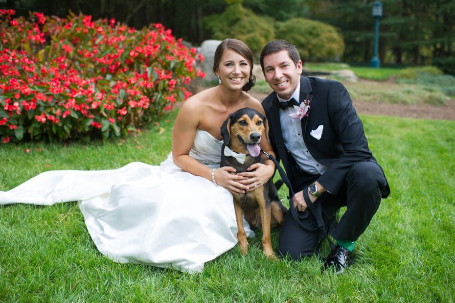 Bride and Groom with Dog at Wedding