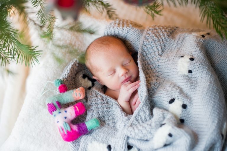Newborn Photos at Christmas